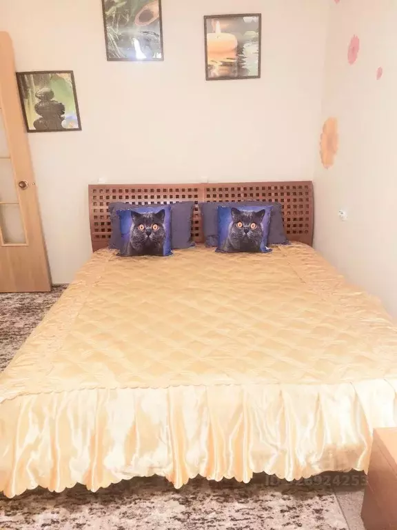 1-к кв. Камчатский край, Петропавловск-Камчатский просп. Рыбаков, 20 ... - Фото 1