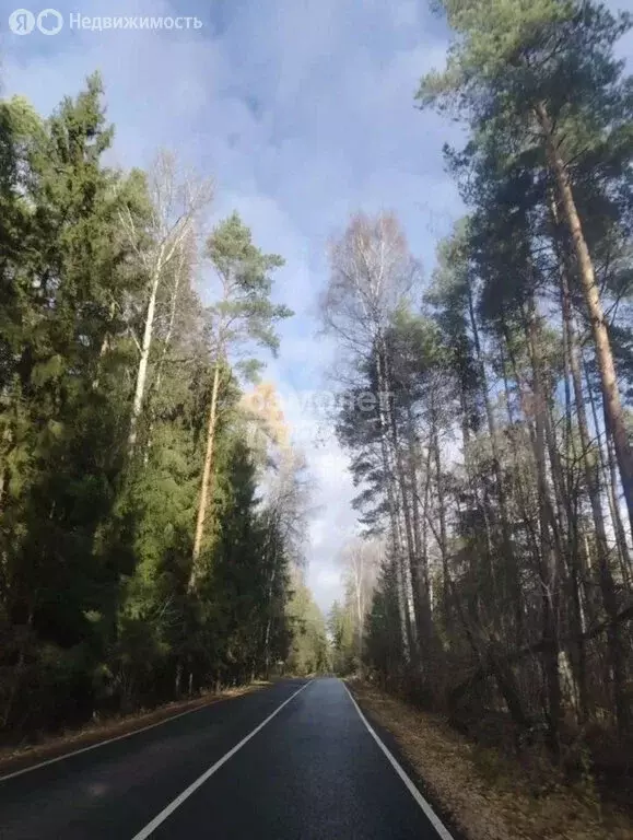 Участок в деревня Шевёлкино, улица Малая Полянка (8 м) - Фото 2