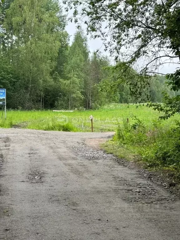 Участок в Ленинградская область, Приозерский район, Мельниковское ... - Фото 1