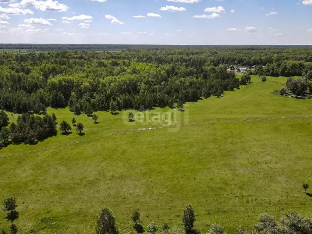 Участок в Тюменская область, Нижнетавдинский район, Царицыно СНТ  ... - Фото 0