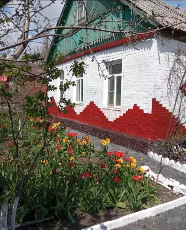 Дом в Ростовская область, Новошахтинск Молодежная ул., 11 (70 м) - Фото 1