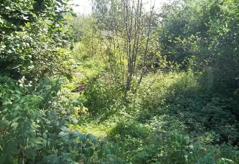 Участок в Тверская область, Тверь ул. Большевиков, 35 (7.5 сот.) - Фото 1