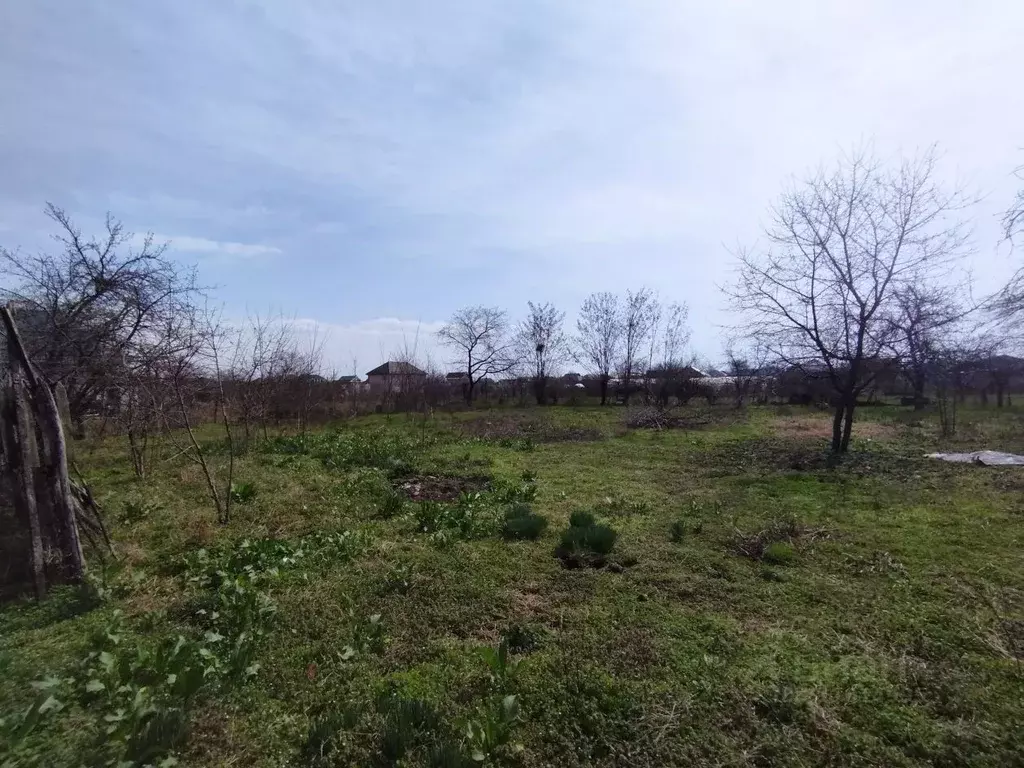 Дом в Кабардино-Балкария, Чегемский район, с. Нартан ул. Товкуева, 48А ... - Фото 1