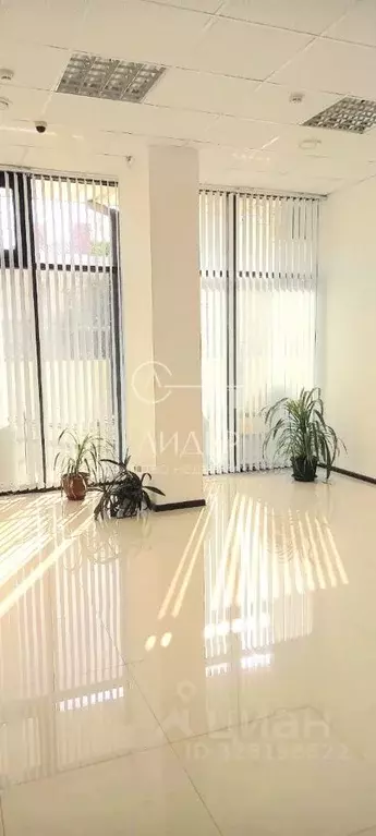 Помещение свободного назначения в Краснодарский край, Сочи ул. Ленина ... - Фото 2