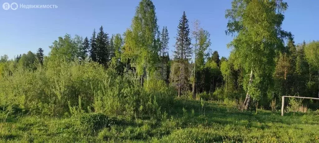 Дом в Томск, садовое товарищество Заря-2 (60 м) - Фото 1