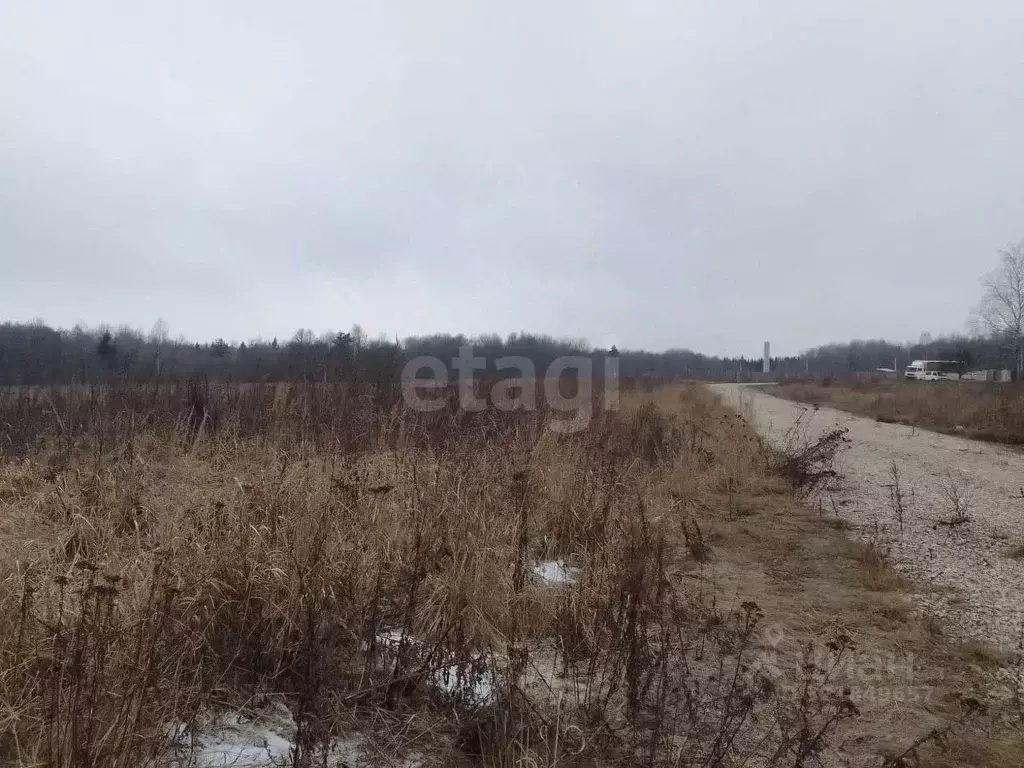 Участок в Брянская область, Брянский район, Новодарковичское с/пос, д. ... - Фото 2