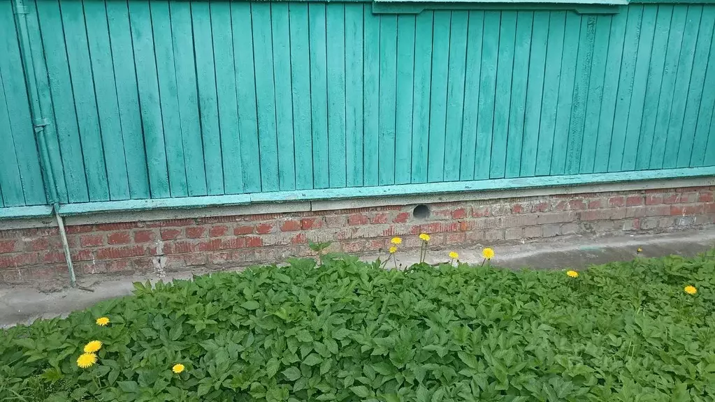 Дом в Московская область, Богородский городской округ, Весна (рабочий ... - Фото 2