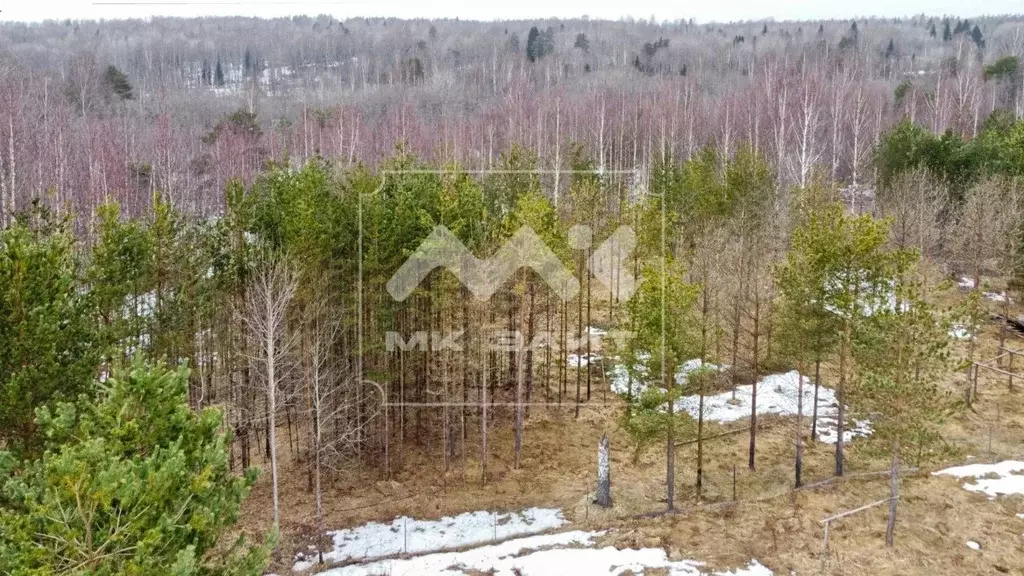 Участок в Ленинградская область, Всеволожский район, Куйвозовское ... - Фото 1