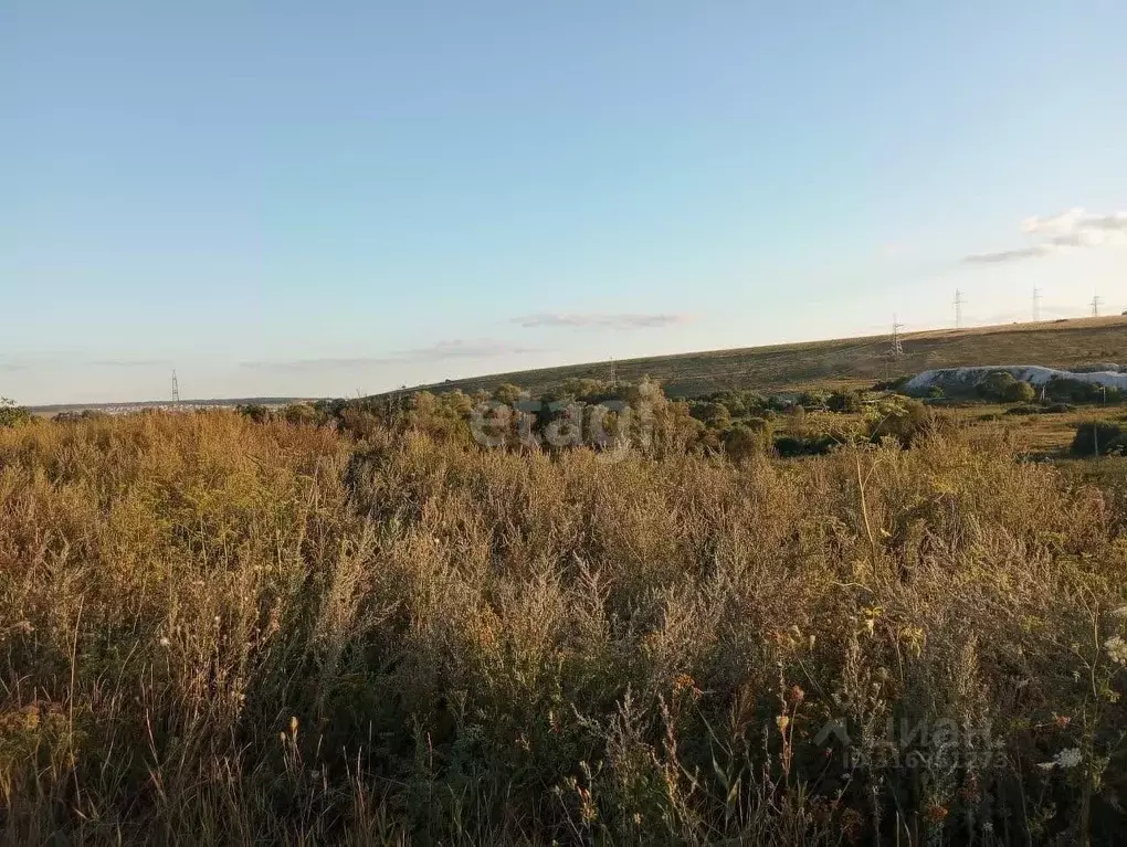 Участок в Белгородская область, Шебекинский муниципальный округ, ... - Фото 1