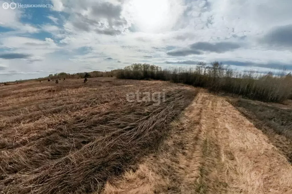 Участок в Тюменский район, село Борки (15.1 м) - Фото 1