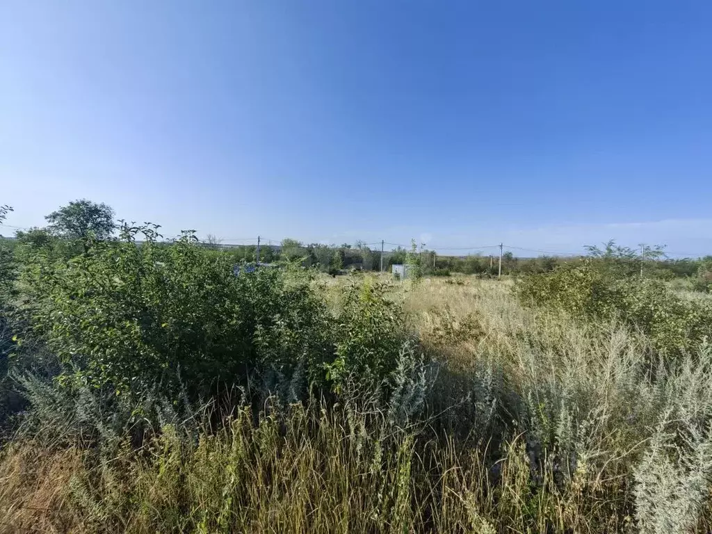 Участок в Ростовская область, Родионово-Несветайский район, ... - Фото 2