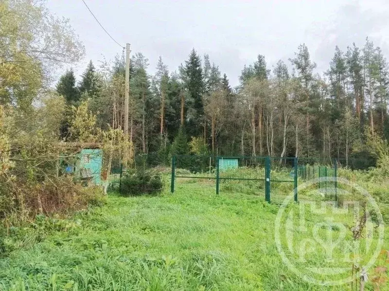 Участок в Ленинградская область, Выборгский район, Рощинское городское ... - Фото 1