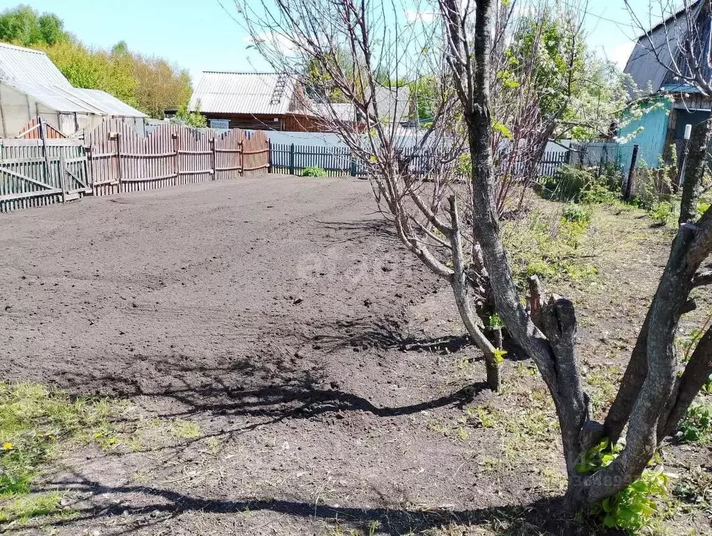 Участок в Новосибирская область, Новосибирский район, Толмачевский ... - Фото 1