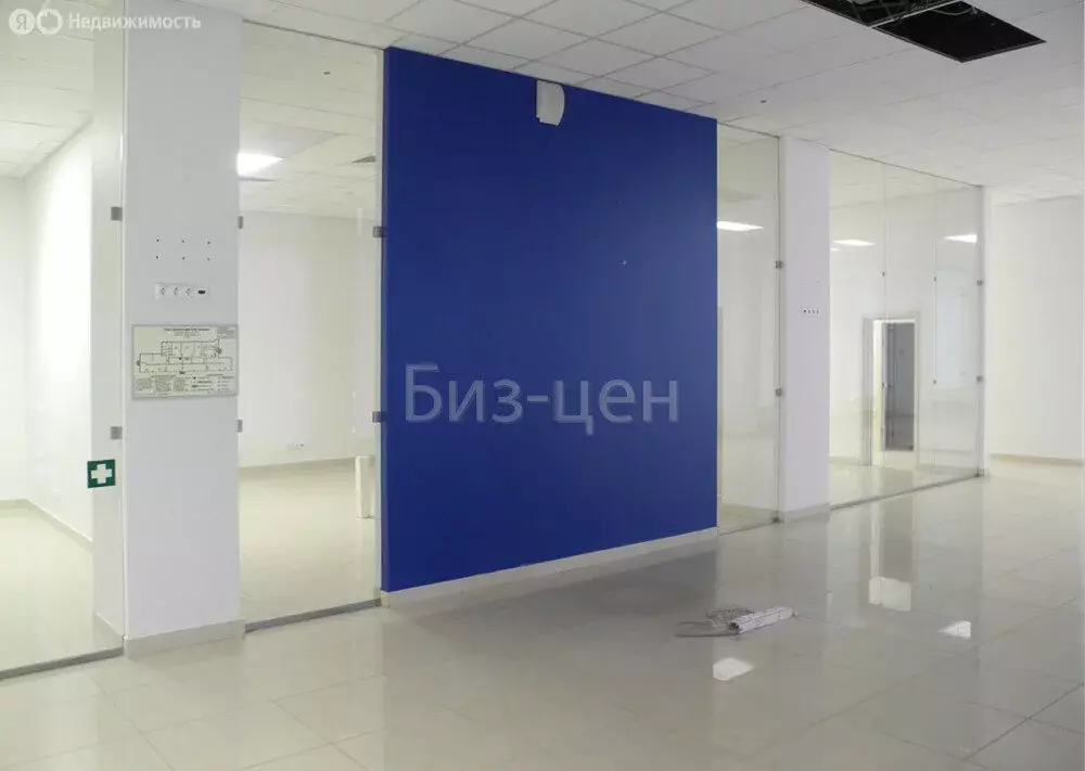 Офис (55.5 м) - Фото 1