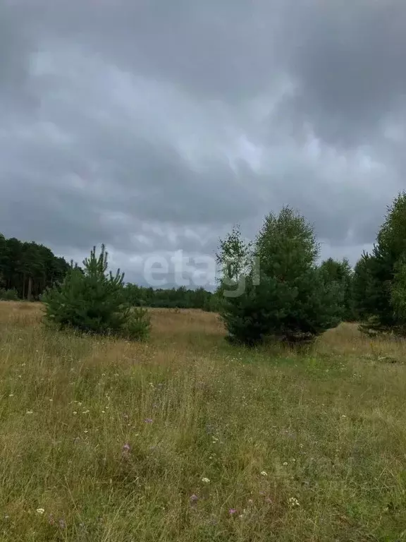 Участок в Кемеровская область, Кемеровский район, с. Елыкаево ... - Фото 1