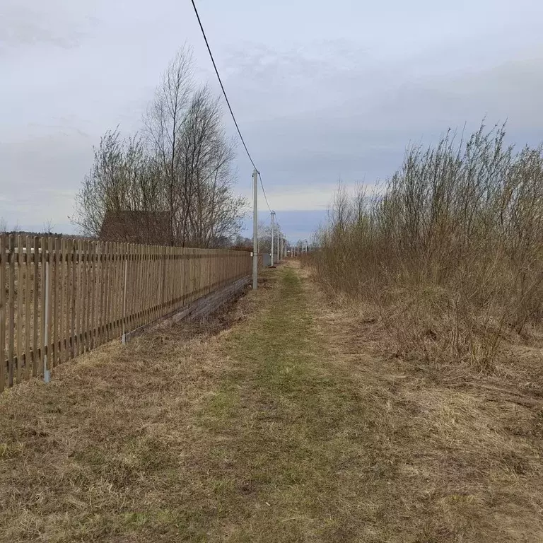 Участок в Новосибирская область, Новосибирский район, Кудряшовский ... - Фото 1