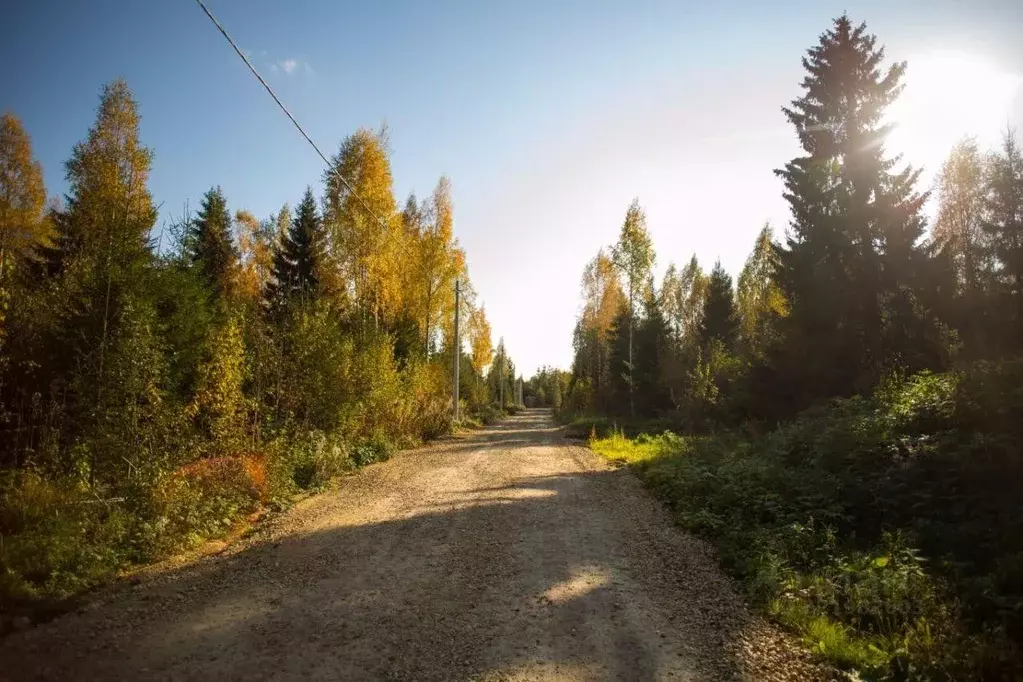 Участок в Московская область, Раменское ул. Андрея Иванова, 17 (6.38 ... - Фото 0