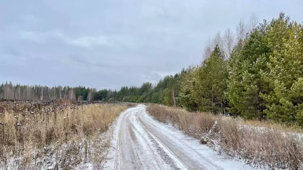 Участок в Татарстан, Лаишевский район, Песчано-Ковалинское с/пос  ... - Фото 0