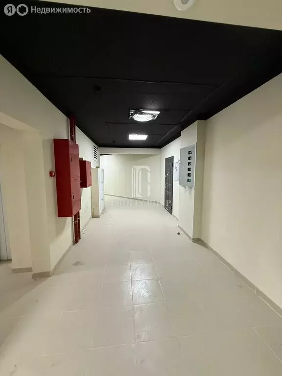 1-комнатная квартира: Махачкала, улица Хаджи Булача, 17Б (50 м) - Фото 2