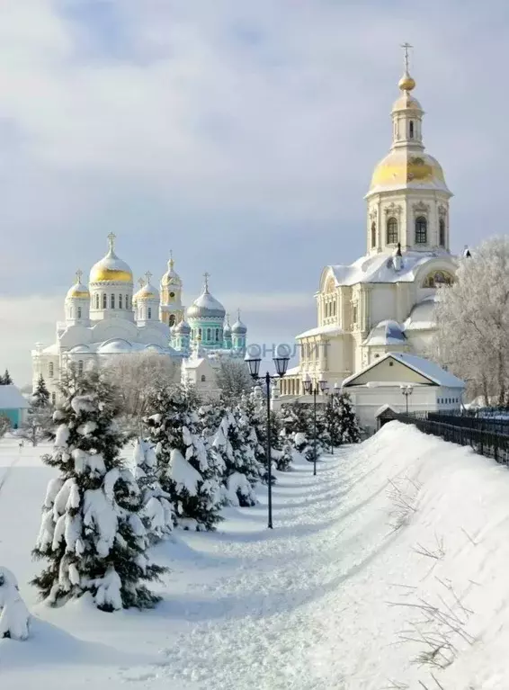Участок в Нижегородская область, с. Дивеево ул. Дружная, 7 (20.6 сот.) - Фото 1