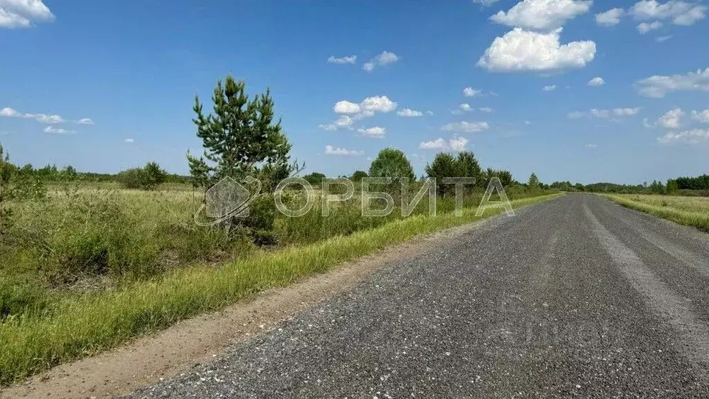 Участок в Тюменская область, Тюменский район, с. Салаирка  (903.0 ... - Фото 1