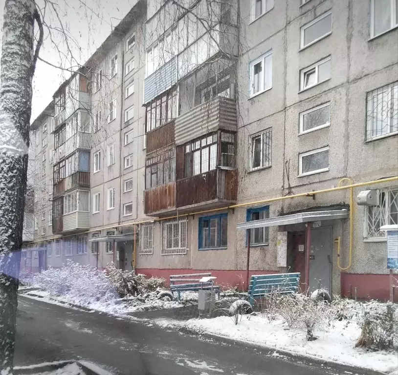 1-к кв. Алтайский край, Барнаул ул. Островского, 60 (31.0 м) - Фото 2