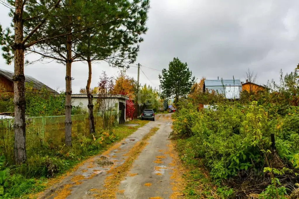 Участок в Новосибирская область, Новосибирский район, Кудряшовский ... - Фото 1