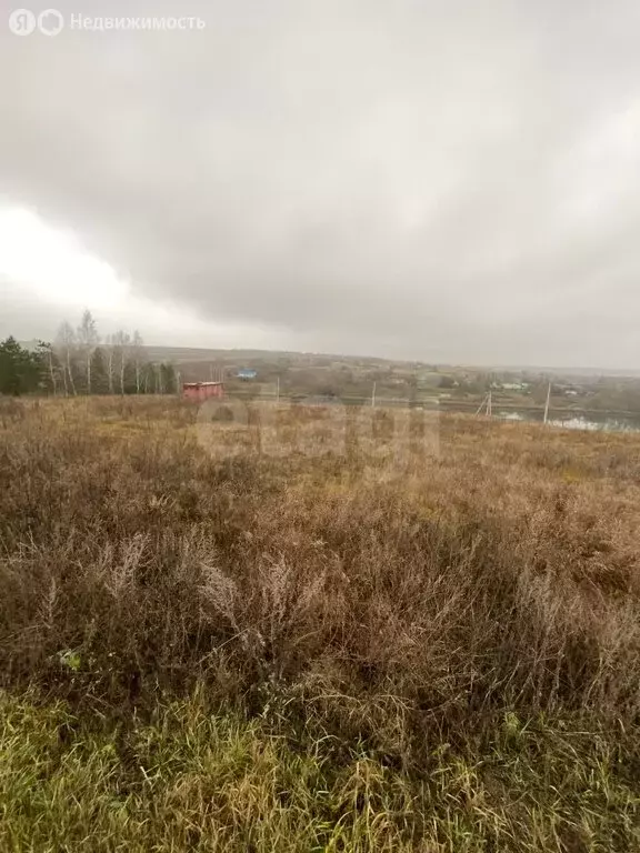 Участок в Белгородский район, Бессоновское сельское поселение, СТ ... - Фото 1