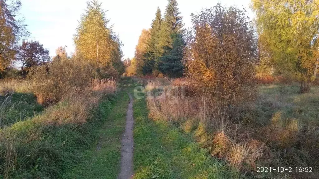 Дом в Тверская область, Вышневолоцкий муниципальный округ, пос. ... - Фото 0