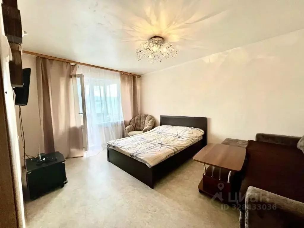 1-к кв. Еврейская автономная область, Биробиджан Пионерская ул., 74А ... - Фото 1