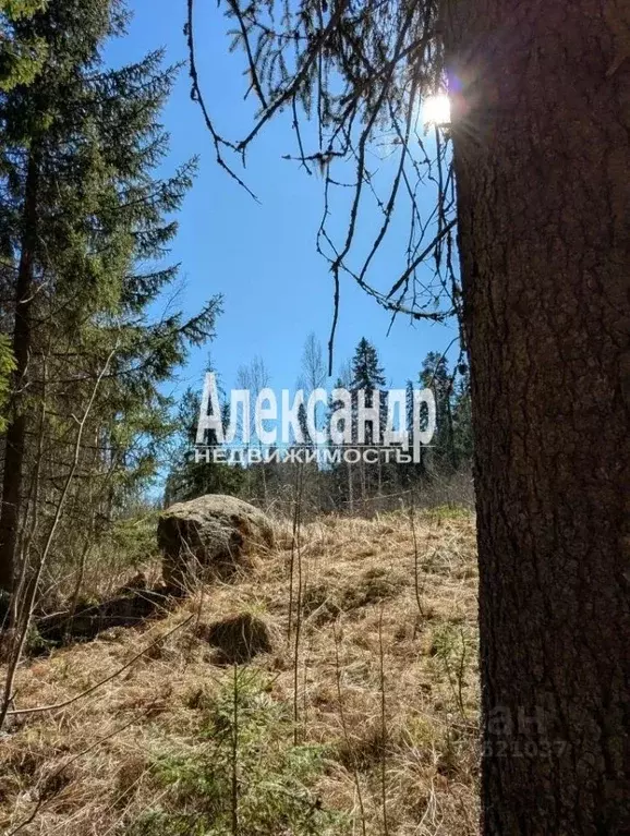 Дом в Карелия, Лахденпохья пос. Хуухканмяки,  (34 м) - Фото 1