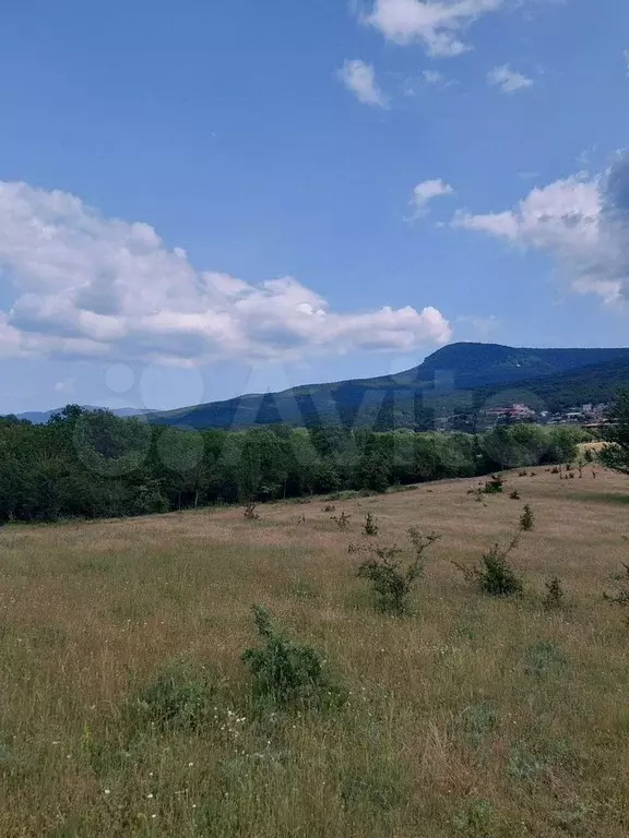 Участок 1,76 га (СНТ, ДНП) - Фото 1