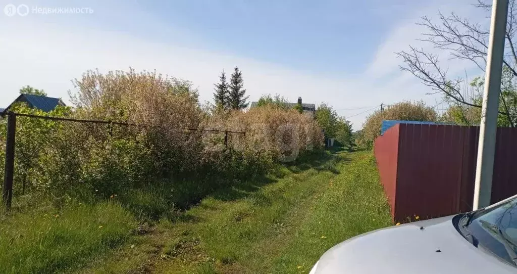 Участок в Булгаковский сельсовет, СНТ Тюльпан, Рябиновая улица (15 м) - Фото 2
