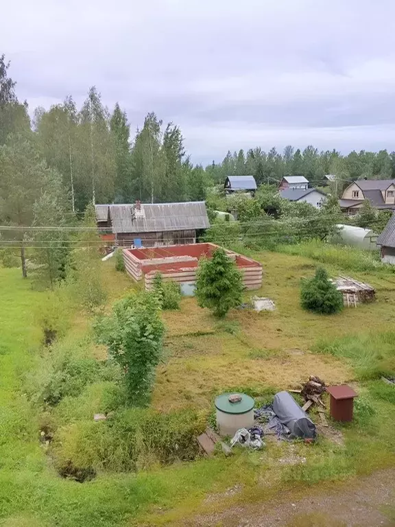 Участок в Ленинградская область, Гатчинский район, Красницы ... - Фото 0