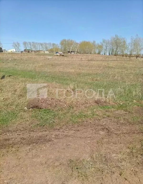 Участок в Алтайский край, Барнаул городской округ, пос. Центральный ... - Фото 2