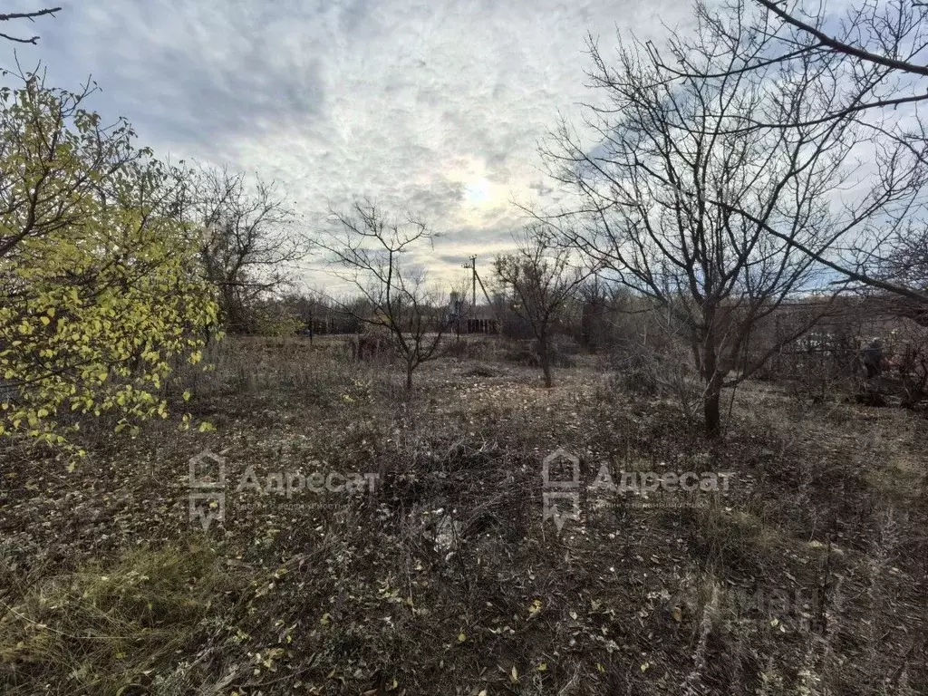 Участок в Волгоградская область, Городищенское городское поселение, ... - Фото 1