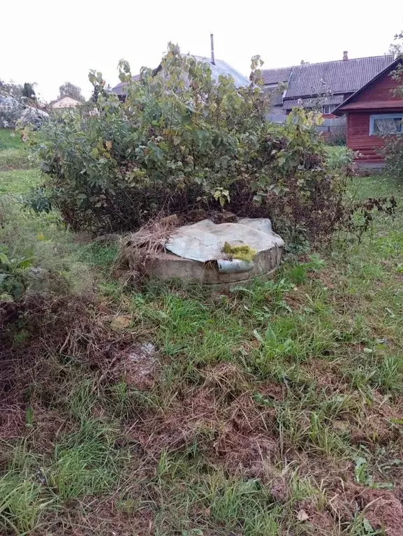 Дом в Новгородская область, Боровичи пос. Полыновка, ул. Луначарского, ... - Фото 1