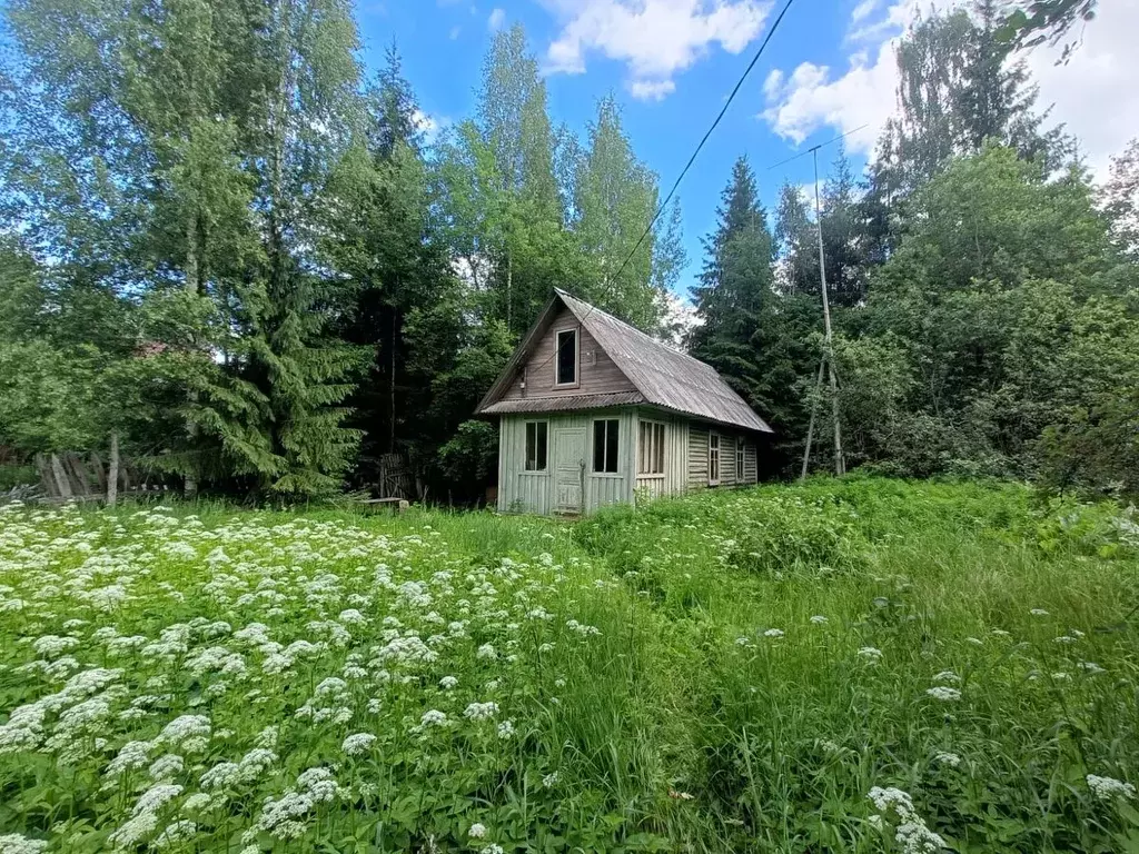 Дом в Ленинградская область, Гатчинский район, Вырица городской ... - Фото 0