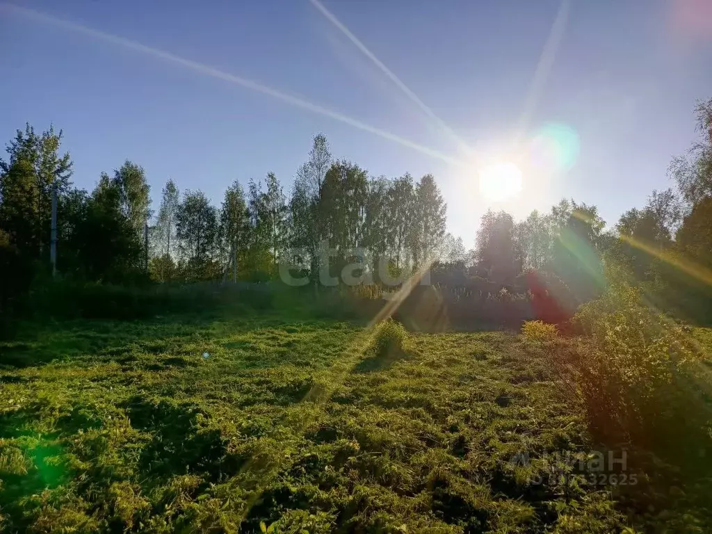 Участок в Вологодская область, Вологда Доронино садоводческое ... - Фото 0