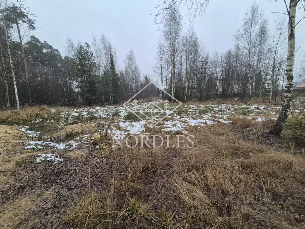 Участок в Московская область, Щелково городской округ, Снежная тер. ... - Фото 2