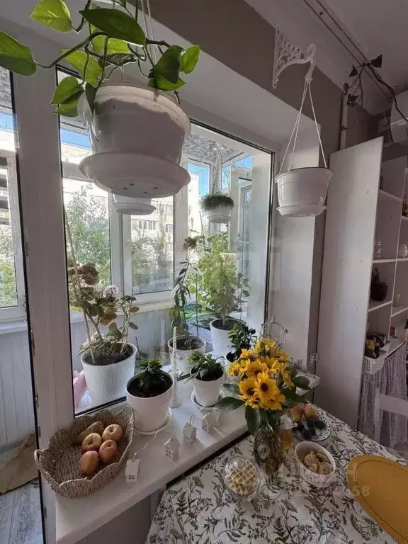 3-к кв. Крым, Саки ул. Интернациональная (65.4 м) - Фото 1