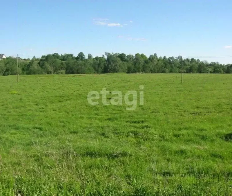 Участок в Тульская область, Тула городской округ, д. Малиновка  (830.0 ... - Фото 1