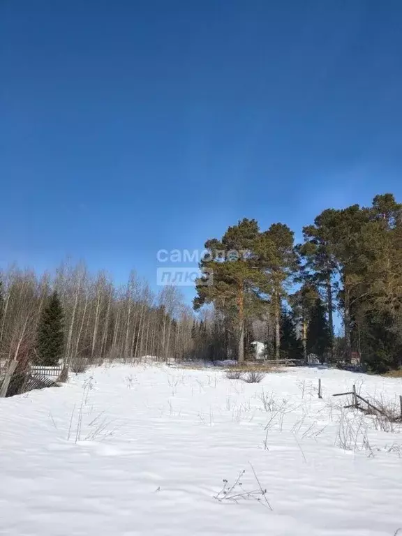 Участок в Томская область, Томский район, с. Корнилово Новая ул., 7 ... - Фото 1