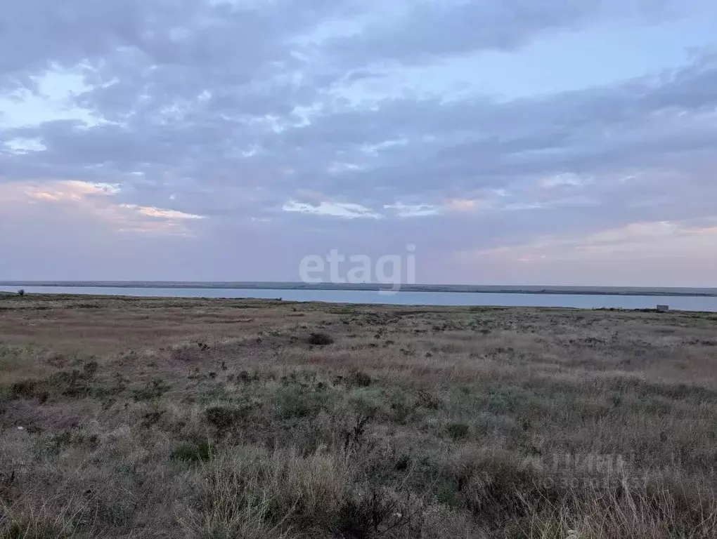 Участок в Крым, Черноморский район, с. Межводное ул. Джарылгачская ... - Фото 0