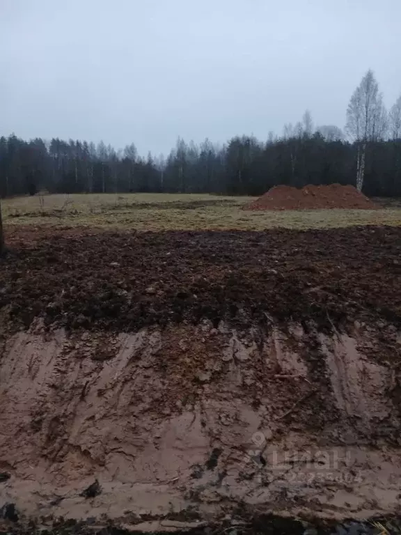 Участок в Новгородская область, Новгородский район, Савинское с/пос, ... - Фото 1