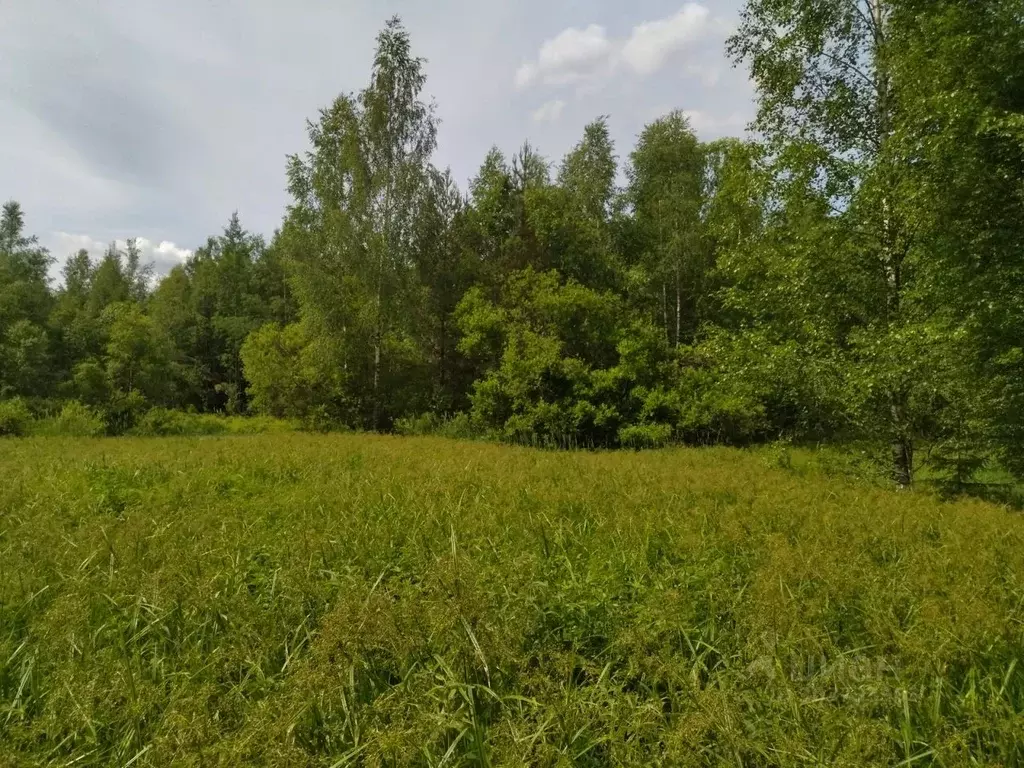 Участок в Ленинградская область, Всеволожский район, Лесколовское ... - Фото 1