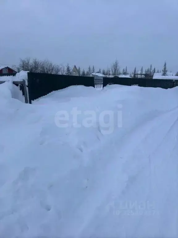 Участок в Ямало-Ненецкий АО, Новый Уренгой Титан ДНТ, 25 (6.0 сот.) - Фото 1