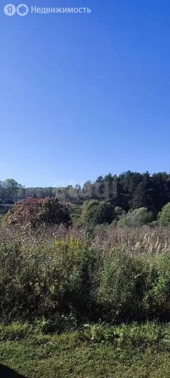 Участок в Калужская область, Дзержинский муниципальный округ, сельское ... - Фото 1