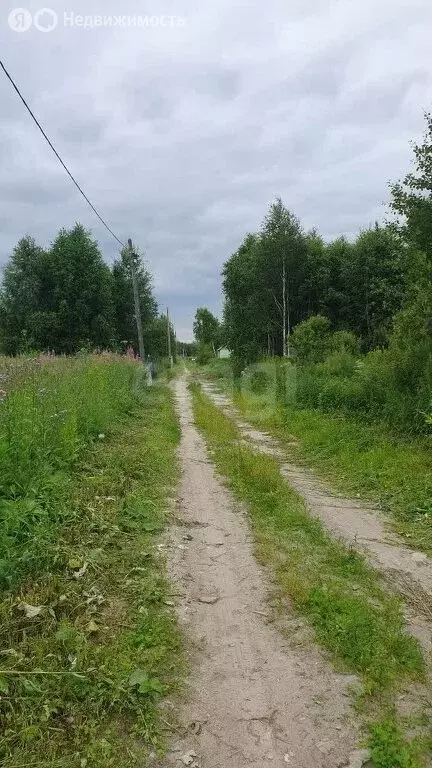 Участок в Нижнетавдинский район, СТ Здоровье-3, 6-я улица (10 м) - Фото 1