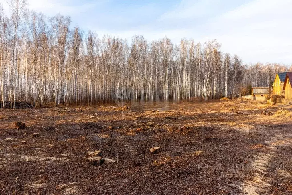 Участок в Тюменский район, садовое товарищество Искатель, Линейная ... - Фото 1